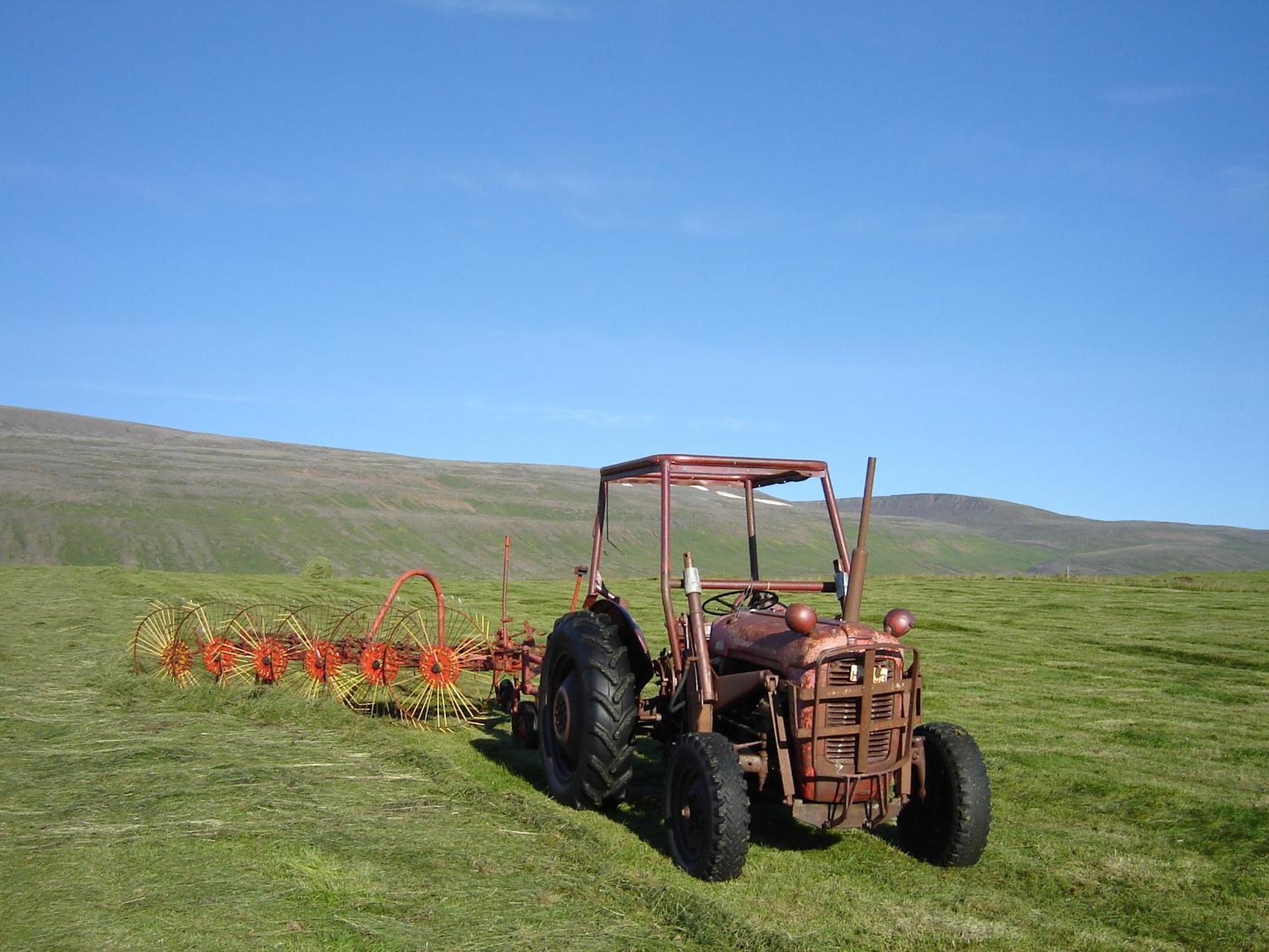 Daeli Guesthouse Víðidalstunga Екстериор снимка